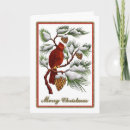 Search for red cardinal christmas cards Pine cones