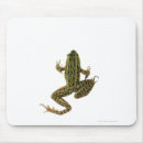 Search for blooded mousepads Wildlife