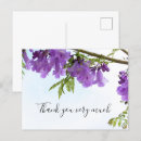 Search for jacaranda tree Purple