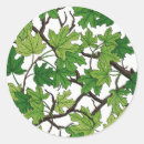 Search for maple stickers Forest