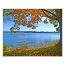 Search for river fall art Tree