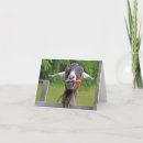 Search for goat thank you cards Humour