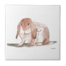 Search for rabbit tiles Wildlife