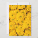 Search for aster invitations Floral
