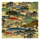 Search for fishing love posters Fisherman