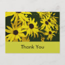 Search for cheap wedding postcards Affordable