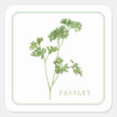 Search for culinary stickers Herb