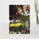 Search for gladiolas cards Photography