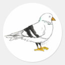 Search for pigeon stickers Bird
