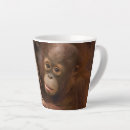 Search for orangutan mugs Jungle