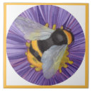 Search for 6 x 6 tiles Wall