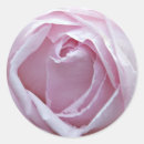 Search for close stickers Pink rose