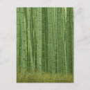 Search for tree drawing postcards Drawings