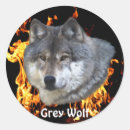 Search for lone wolf stickers Wildlife