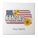 Search for usa tiles Map