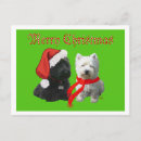 Search for scotty dog westie cards Animals