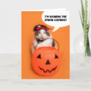 Search for costume halloween cards Orange