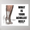 Search for achilles posters Anatomy