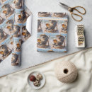Search for koala wrapping paper Wildlife