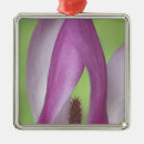 Search for magnolia blossom christmas tree decorations Pink
