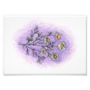 Search for aromatherapy posters Illustration