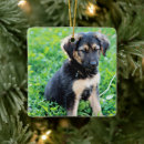 Search for german shepherd christmas tree decorations Puppy