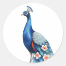 Search for pastel feathers stickers Peacock