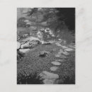 Search for environment postcards White