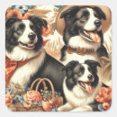 Search for border collies stickers Cute