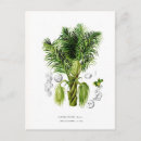Search for vintage botanical print postcards Floral