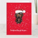 Search for sausage dog christmas cards Dachshund through the snow