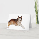 Search for dog pet sympathy cards Canines