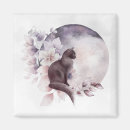 Search for black cat magnets Magic