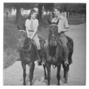 Search for horse riding tiles Vintage