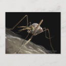 Search for bites postcards Horizontal