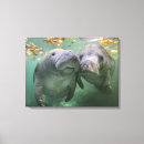 Search for cute beach posters Baby animal