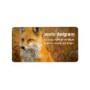 Search for wilderness photography Wild animal