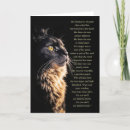 Search for spiritual cards Pagan