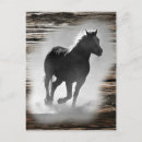Search for horses galloping postcards Wild horse