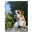 Search for boxer dog notebooks Canine photographer