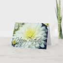Search for chrysanthemum birthday cards Floral