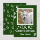 Search for paw print cards Animals