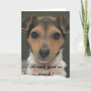 Search for new dog cards Terrier