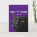 Search for cat puns cards Pet