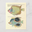 Search for poisson postcards Fish