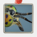 Search for coloured background christmas tree decorations Close up view