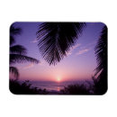 Search for cayman magnets Palm