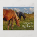 Search for ponies postcards Wild