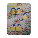 Search for sparrow magnets Cute
