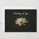 Search for background photo cards Elegant